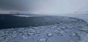 Arctic records hottest year since 1900 amid oil drilling -  VIDEO  