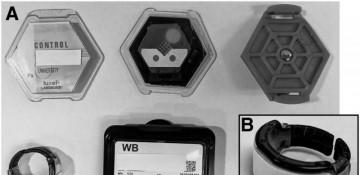 How governments monitor radiation safety