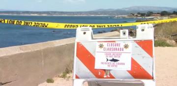 Swimmer missing in possible shark attack in Pacific Grove