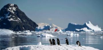 China proposes new Antarctic law to protect interests