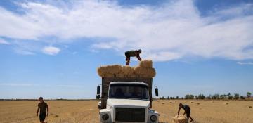 Russian strikes hit Ukraine’s ports, threaten food exports