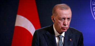 Turkish, Nigerien presidents discuss key issues 