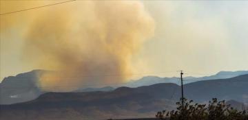 Helicopter crashes on Mount Kilimanjaro, killing five