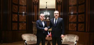 Azerbaijani, Turkish FMs discuss regional cooperation in Vienna