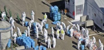 Japan confirms ninth avian influenza outbreak this season