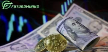 A seasoned crypto trader earns $1,170 in passive income daily with FuturoMining
