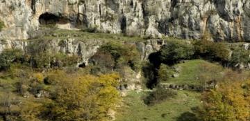 300+ Azykh Cave finds sent Germany, Norway, and Denmark