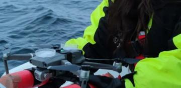 Drones detect deadly virus in Arctic whales