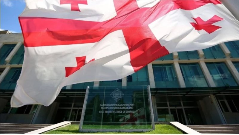 Georgia investigates BBC report on alleged chemical agent use 