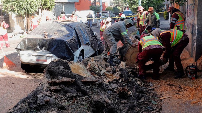 At least two dead after powerful quake hits Mexico