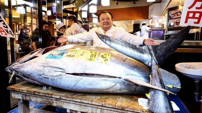 Bluefin tuna fetches $3.2 million at Tokyo auction