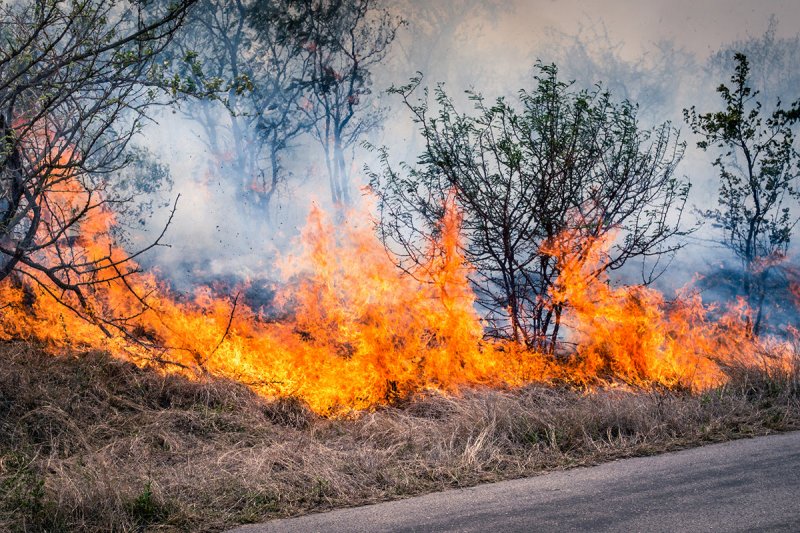 Wildfires reported in open areas of Jabrayil and Fuzuli 