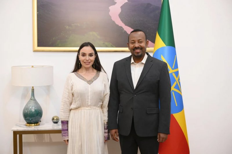 Leyla Aliyeva holds meeting with Ethiopia's Prime Minister 