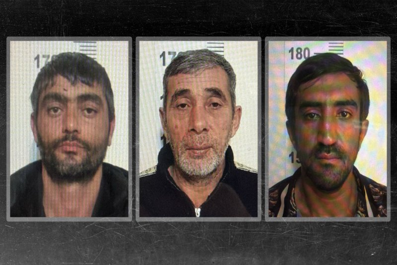 Greenhouse theft in Baku causes 50,000 manat loss 