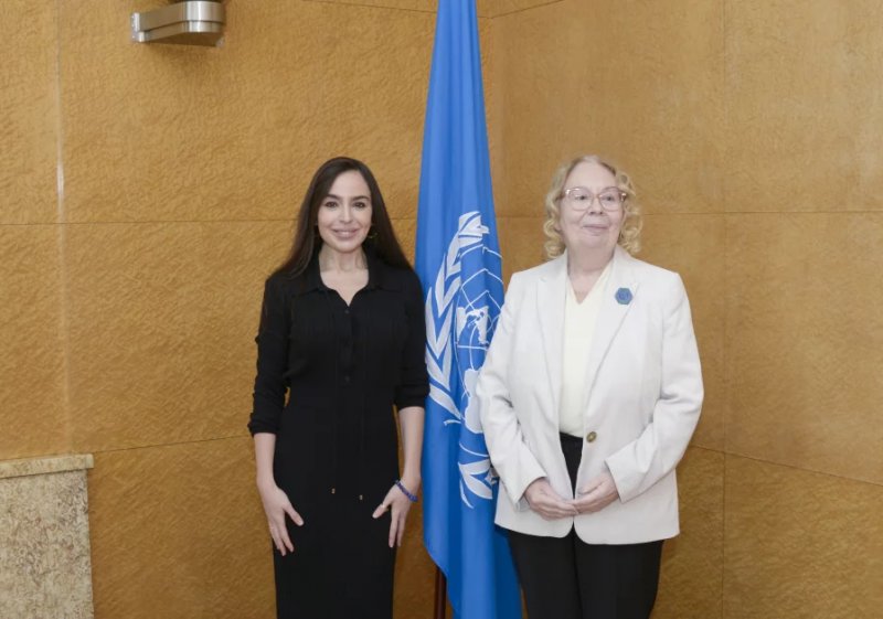 Leyla Aliyeva meets UN Geneva Office Director-General