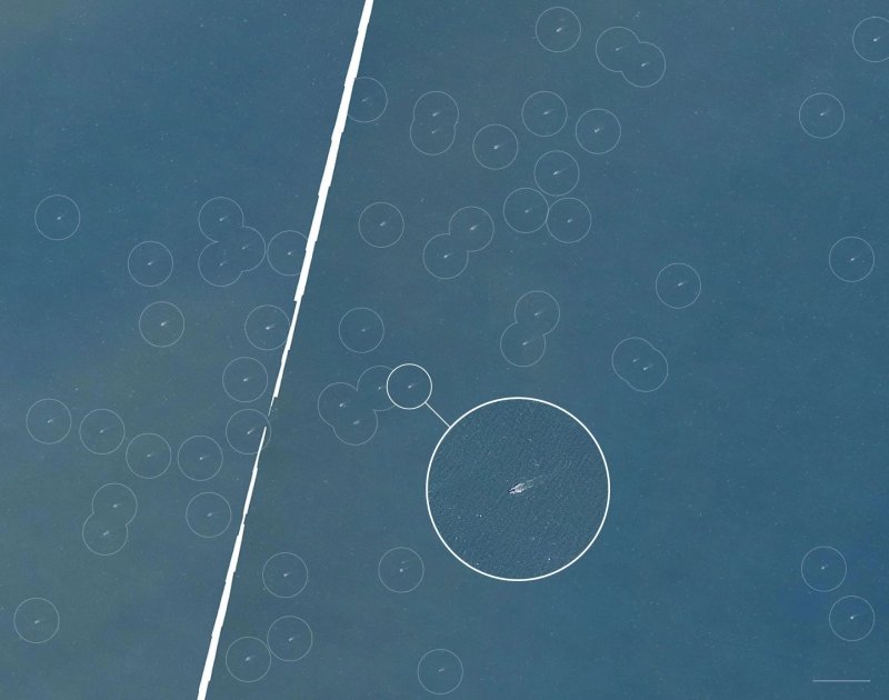 News about - China mobilizes thousands of fishing vessels for naval blockade drills