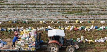 Chinese vice premier stresses importance of wheat field management 