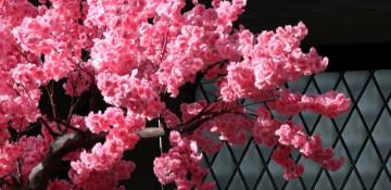 WH Smith appoints ex-Balfour Beatty chief as new chair 