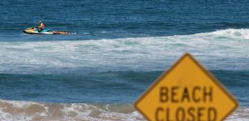 Australian boy dies after Sydney Harbour shark attack 