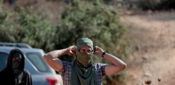 Israeli settlers uproot olive trees near Ramallah 