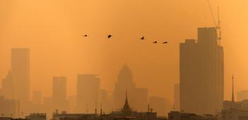 Bangkok urges remote work as air pollution worsens
