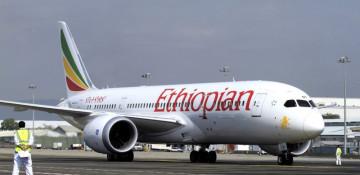 Ethiopian Airlines halts flights to Tigray