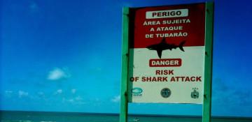 13-year-old boy dies after shark attack in Brazil
