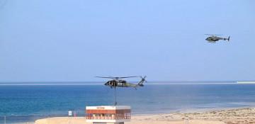 Azerbaijan, UAE to hold Peace Shield 2026 joint military drills -  VIDEO 