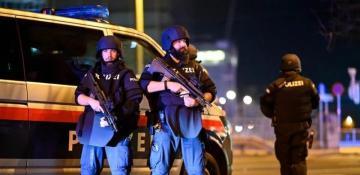 Police found a grenade near a synagogue in Vienna