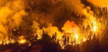 Argentina declares emergency as wildfires scorch Patagonia 