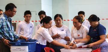 Myanmar military-backed party leads early election results