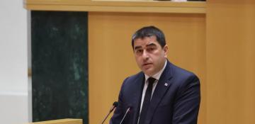 Georgia rules out sanctions on Russia 