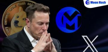 X spotlighted crypto market data, driving Moon Hash users to $7,000 daily earnings