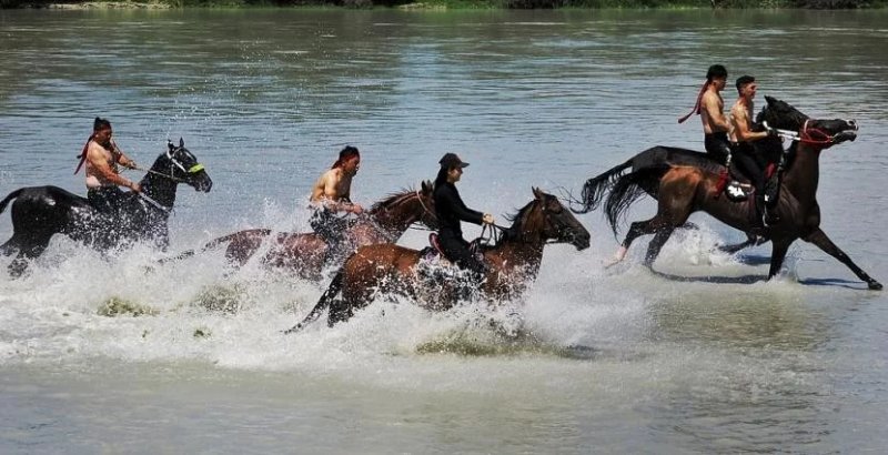 News about - Galloping through cultures: How horses connect humanity
