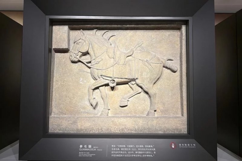 News about - Galloping through cultures: How horses connect humanity