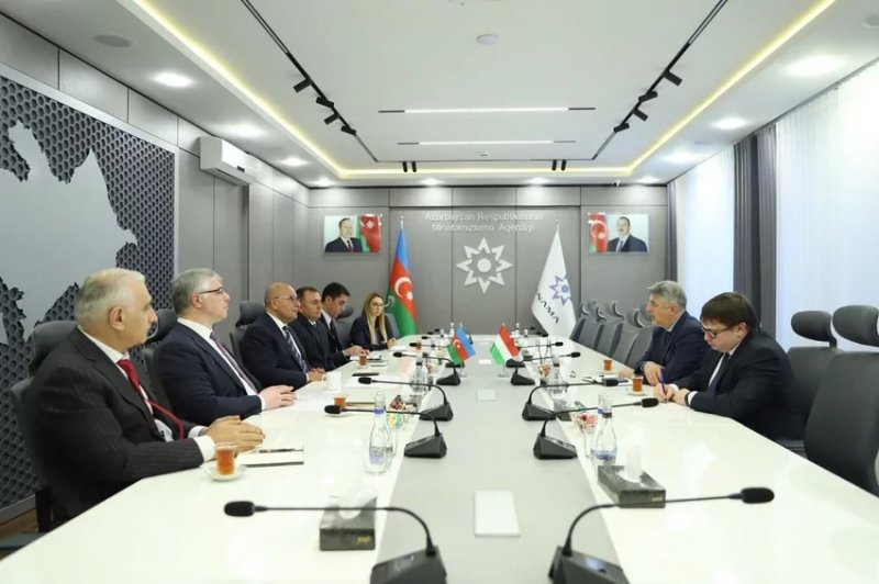 Azerbaijan, Hungary advance demining cooperation