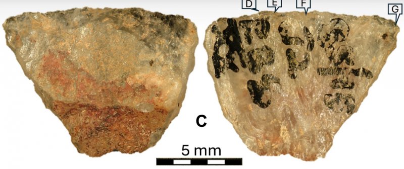 Humans used poisoned arrows 60,000 years ago