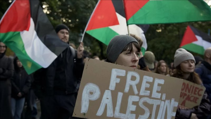 US judge to protect academics amid pro-Palestine deportation cases 