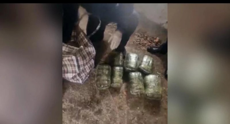 Police seize 16kg of drugs from ex-con in Azerbaijan 