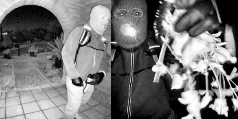 Nancy Guthrie kidnapping: FBI releases description of suspect