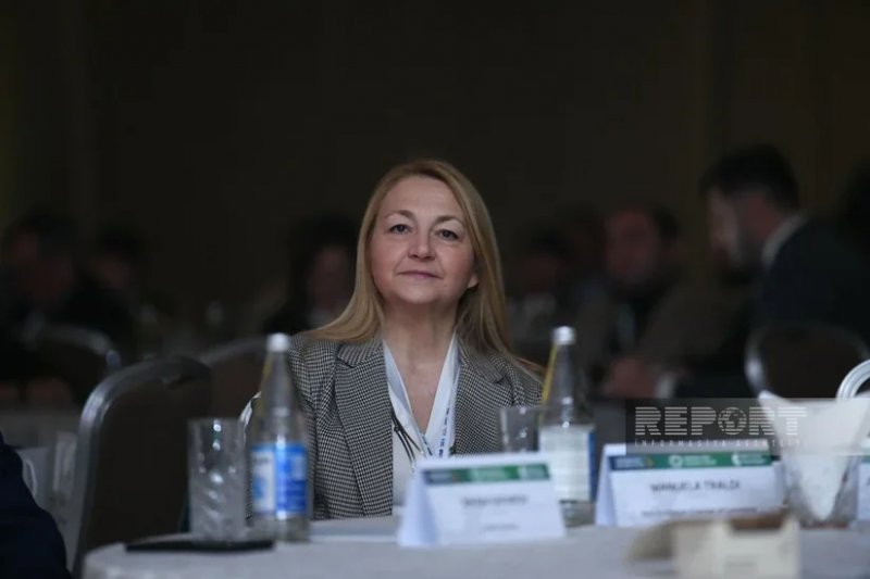 Italy backs expansion of Azerbaijan business presence 