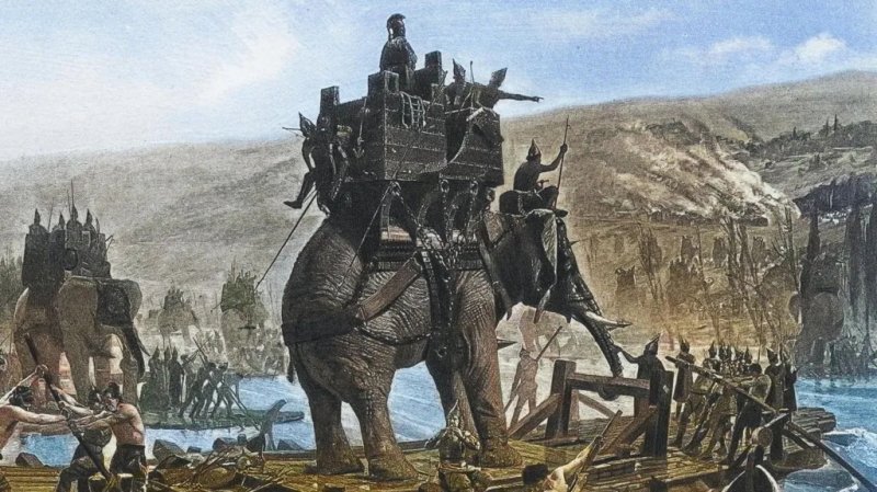 Ancient bone may prove legendary war elephant crossing of Alps 