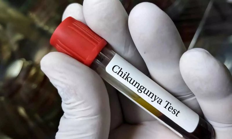 Bolivia confirms 3 Chikungunya deaths amid red alert