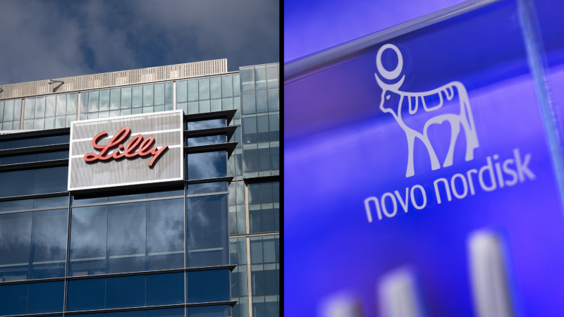 Novo Nordisk falls behind Lilly in obesity drug race