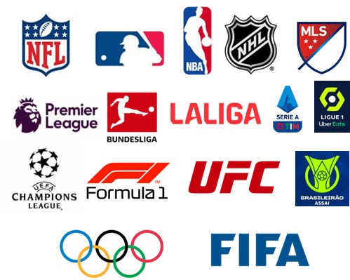 8 most watched sporting events in the world that truly stop the planet