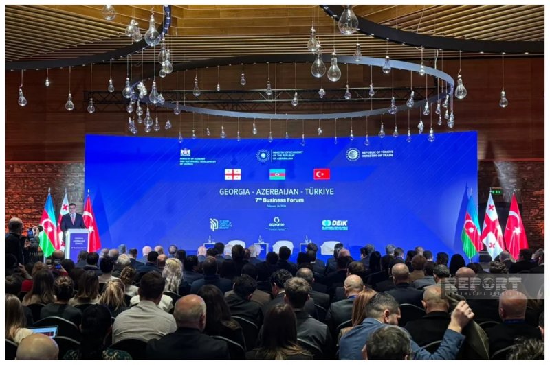 Azerbaijan-Georgia-Turkiye Business Forum held in Kakheti 