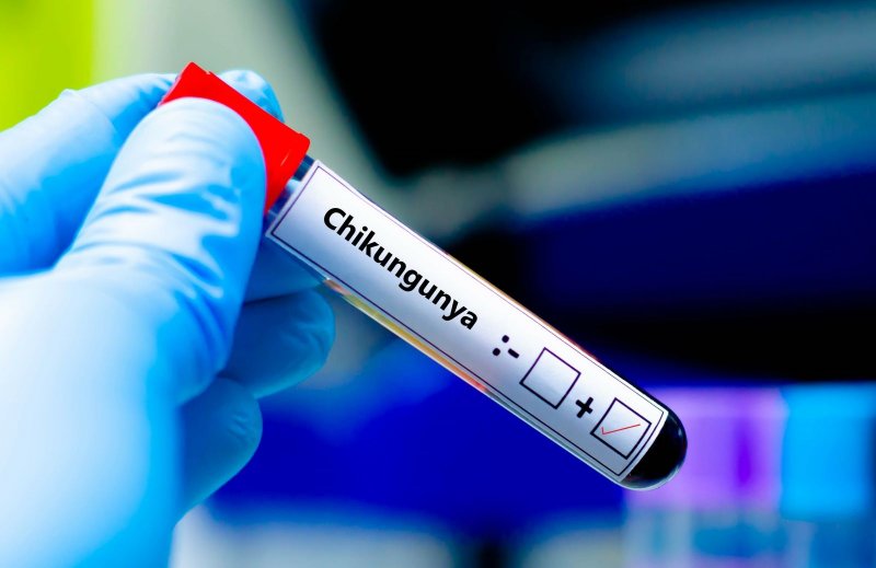 Bolivia records 5th death from Chikungunya fever