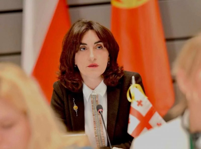 UK ambassador failed to provide evidence for sanctions on Georgian TV channels, FM says 