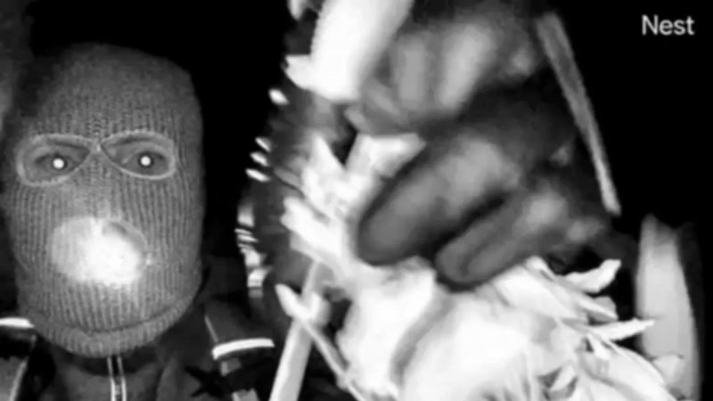 FBI releases images of masked person in hunt for Savannah Guthrie's mother -  PHOTO  