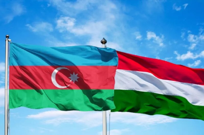 Azerbaijan, Hungary look into education cooperation